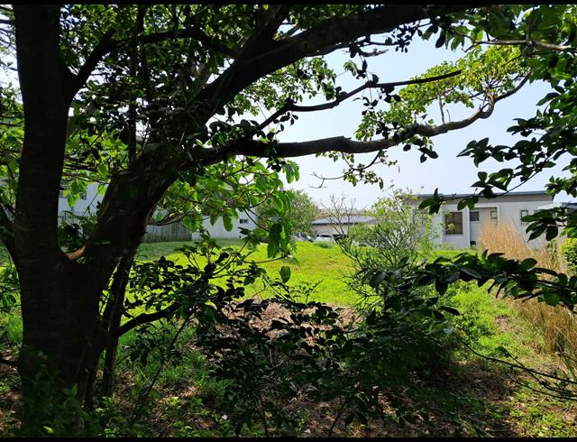 450M² VACANT LAND FOR SALE IN PALM LAKES ESTATE